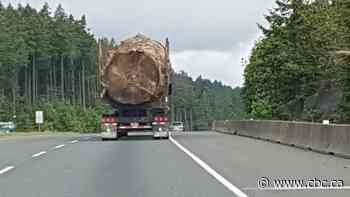 Photo of massive tree being hauled down Vancouver Island highway sparks global outrage