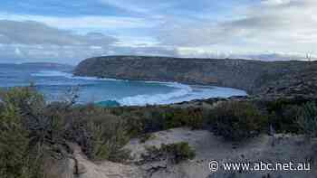 Space company tries to allay concerns over rocket launch plans