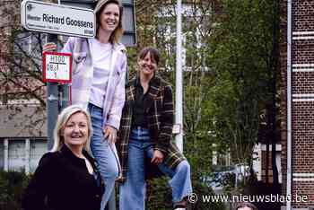 Bewoners maken van Meester Richard Goossensstraat bruisende ... (Edegem) - Het Nieuwsblad