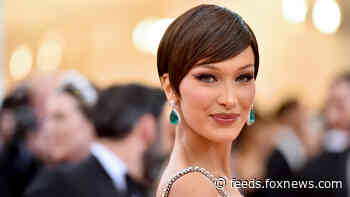 Bella Hadid posted photo of suspect who allegedly beat Jewish man in NYC