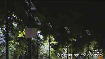 More Than 100 Solar Lights Installed Along Walking Path In South Park