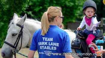 Park Lane Stables forced to move despite raising over £1m