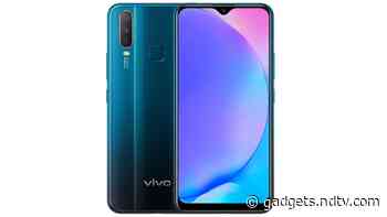 Vivo Y17 Undergoing Greyscale Testing for Android 11 in India, Company Confirms