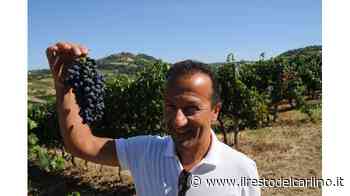 Bertinoro, ribalta internazionale per i vini di Diavoletto e Celli - il Resto del Carlino