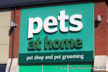 Pets at Home sales soar after pandemic pet ownership boom - Barrhead News