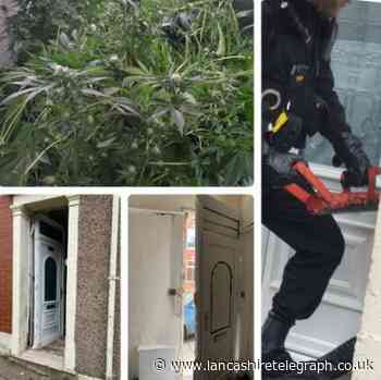 Man arrested as police discover 'considerable' cannabis grow in Blackburn house