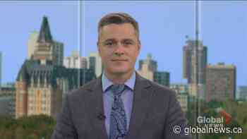 Virtual walk to support those fighting lupus in Saskatchewan