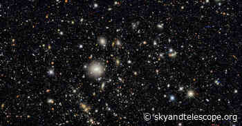 Dark Energy Survey Catalogs 226 million Galaxies