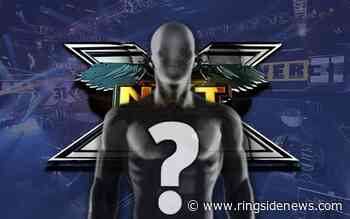 WWE Preparing NXT Superstar For Huge Push - Ringside News