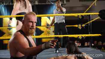 Alexander Wolfe Reveals Triple H Decided To Split Up Sanity - Wrestling Inc.