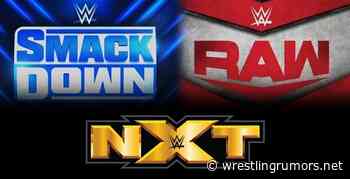 Come On Up: Several New NXT Callups Coming Soon - WrestlingRumors.net - Wrestling Rumors