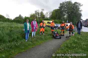Dendermonde geeft bloemen en planten meer plek<BR />