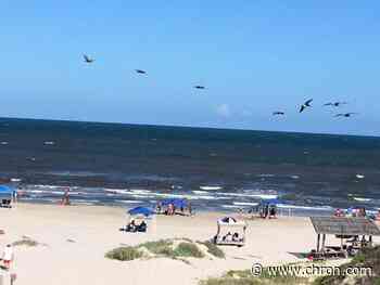 Park rangers conducting sobriety checkpoint at Padre Island National Seashore