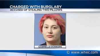 Police: Wayne County woman facing burglary charge after stealing neighbor's pillows