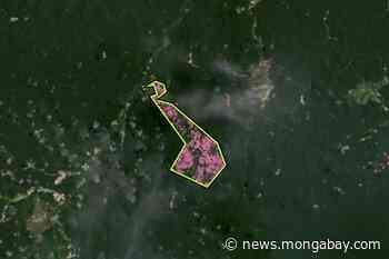 New clearing of forest in protected area in Brazil linked to mining - Mongabay.com