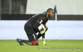 Report: Abdoulaye Diallo Nottingham Forest exit after anonymous season - Nottingham Forest News