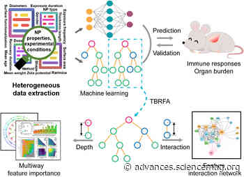 Deep exploration of random forest model boosts the interpretability of machine learning studies of complicated immune responses and lung burden of nanoparticles - Science Advances
