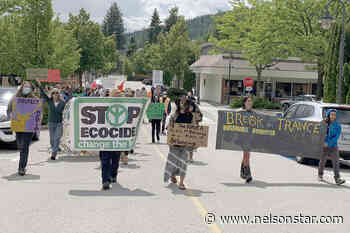 Old-growth logging protest attracts crowd at BC Forest Minister's Castlegar office – Nelson Star - Nelson Star