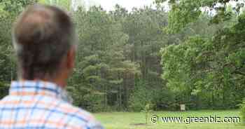 Democratizing decarbonization in a forest near you | Greenbiz - GreenBiz