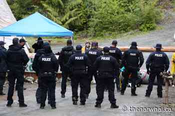 BC's old-growth forest panel expert Garry Merkel weighs in on Fairy Creek - The Narwhal