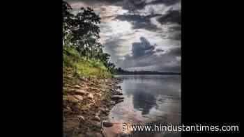 Review: The Forest Beneath the Mountain by Ankush Saikia - Hindustan Times