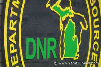 Clearcutting, Good For Forest Management - 9 & 10 News - 9&10 News