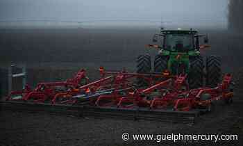 'Organized crime group' allegedly defrauds farm and construction businesses in Puslinch, Markham, Toronto - GuelphMercury.com