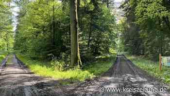 Erdmann-Radweg zwischen Bassum und Sulingen quer durch den Wald - kreiszeitung.de