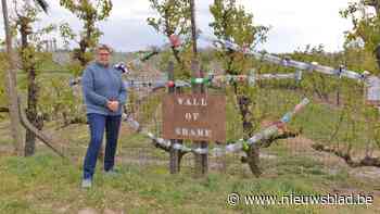 Protest tegen afval op drukke wandelroutes (Borgloon) - Het Nieuwsblad