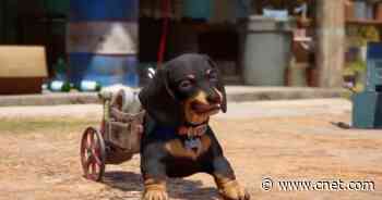 Far Cry 6 set to launch Oct. 7 with new weapons, vehicles and pets     - CNET