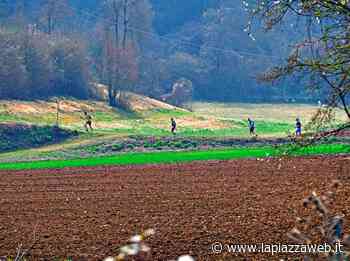Ultrabericus: tra i top runner Modena e Menegardi, ma anche i vicentini Mastrotto e Rigodanza e poi il mantovano Bassi - La PiazzaWeb - La Piazza