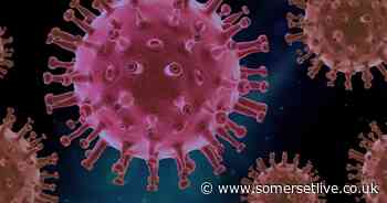 Somerset area records two further coronavirus deaths - Somerset Live