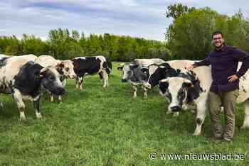 Matthias opent hoevewinkel met vlees van koeien die hij zelf grootbracht: “Consumenten stellen zich steeds mee - Het Nieuwsblad