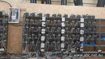 English police hunting cannabis farm instead uncover cryptocurrency mine