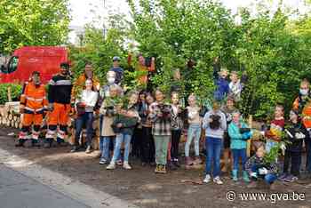 Leerlingen Sterbos herstellen bosrand aan hun school (Wuustwezel) - Gazet van Antwerpen