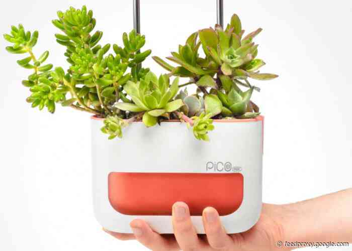 Pico Max indoor garden helps your plants flourish