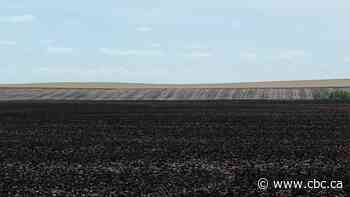 Seeding progressing faster than previous years, with 86% of crops now planted