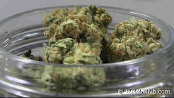 Local lawmakers encourage entrepreneurs interested in cannabis industry to start planning now