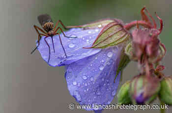 EIGHT photographs of nature at its best taken by the LT Camera Club