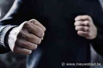 Twee 14-jarigen geplaatst na zinloos geweld (Kasterlee) - Het Nieuwsblad