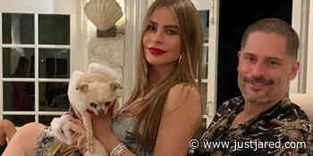 Sofia Vergara Reveals Dog Bubbles Is Very Possessive of Husband Joe Manganiello: 'She Hates Me' - Just Jared