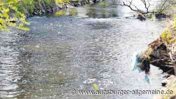 Wo Flüsse und Seen im Landkreis Neu-Ulm besonders geschützt sind