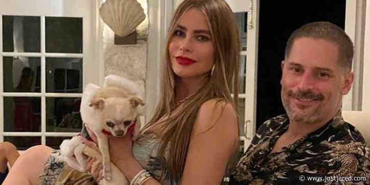 Sofia Vergara Reveals Dog Bubbles Is Very Possessive of Husband Joe Manganiello: 'She Hates Me'