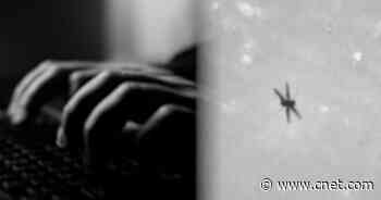 Microsoft reveals new cyberattack and NASA's Ingenuity copter completes 6th successful flight video     - CNET