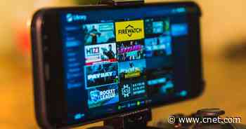 Stop hoarding Steam games. Here's how to share your library with friends     - CNET