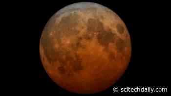 We Just Had the Super Flower Blood Moon and an Eclipse – Here’s What’s Next!