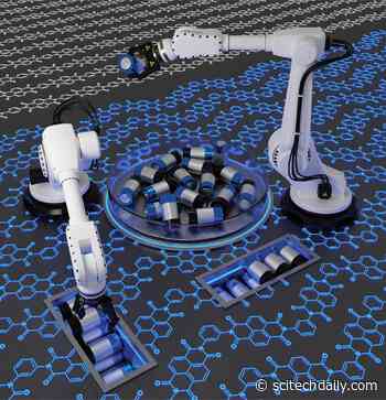 An Attractive Cheap Organic Material for New Generation of Batteries
