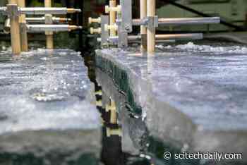 Testing at the World’s Largest Indoor Ice Tank Shows Warm Ice May Fracture Differently Than Cold Ice