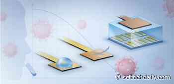 New Biosensor Technology Makes Coronavirus Testing Quick and Easy
