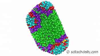 Discovery Drives Virus Research Forward: How Retroviruses Become Infectious